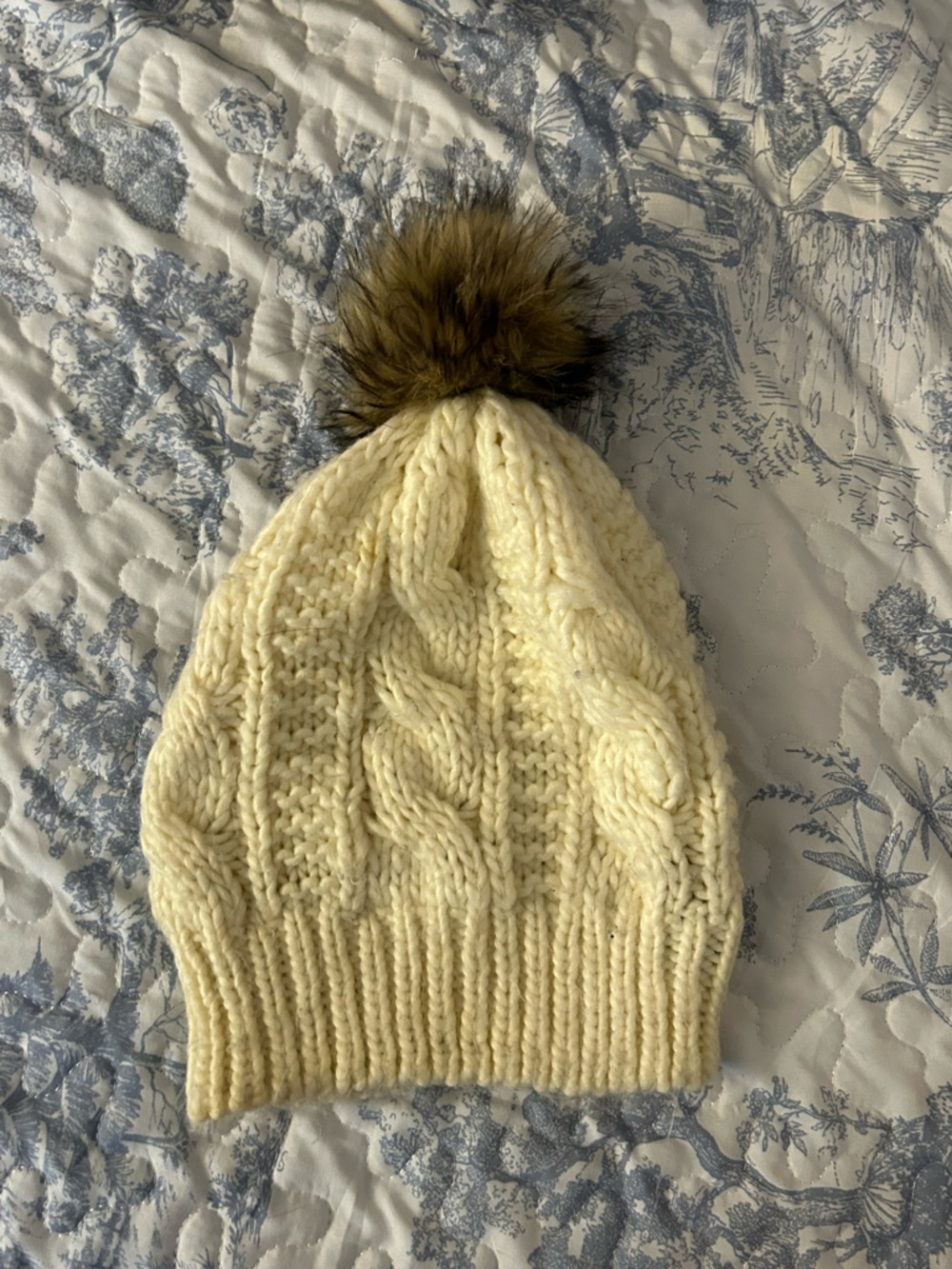 aerie Ivory Cable Knit Pom Beanie